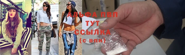 твердый Абаза
