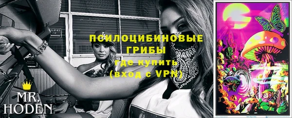 Альфа ПВП Пролетарск