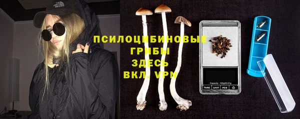 твердый Абаза