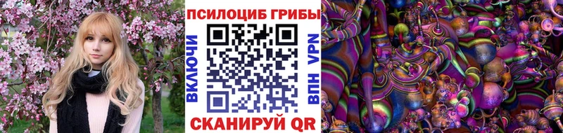 Галлюциногенные грибы Psilocybine cubensis  Бокситогорск 